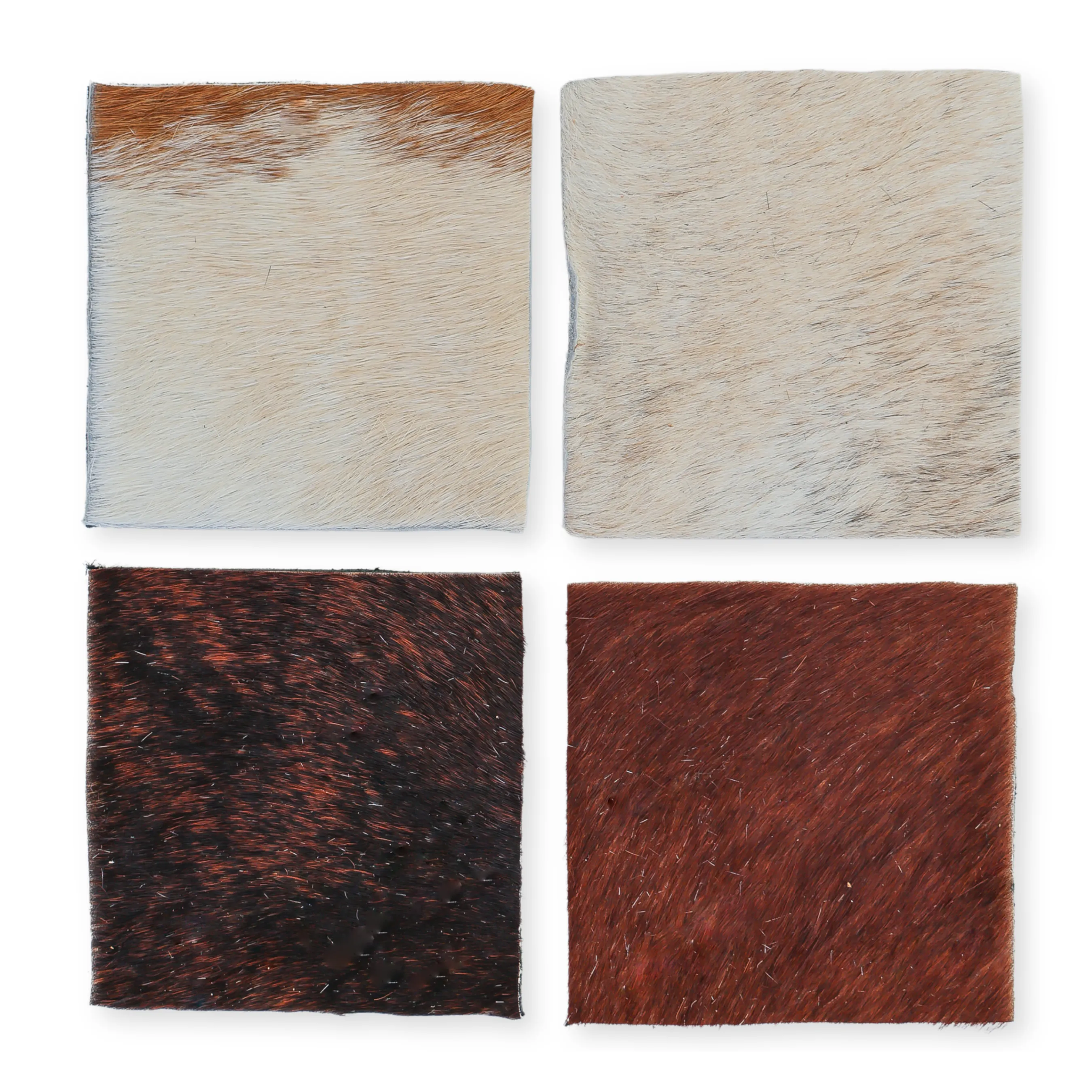 Coaster Set