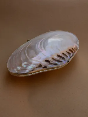 Shell Craft Evening Bag (With Sling)