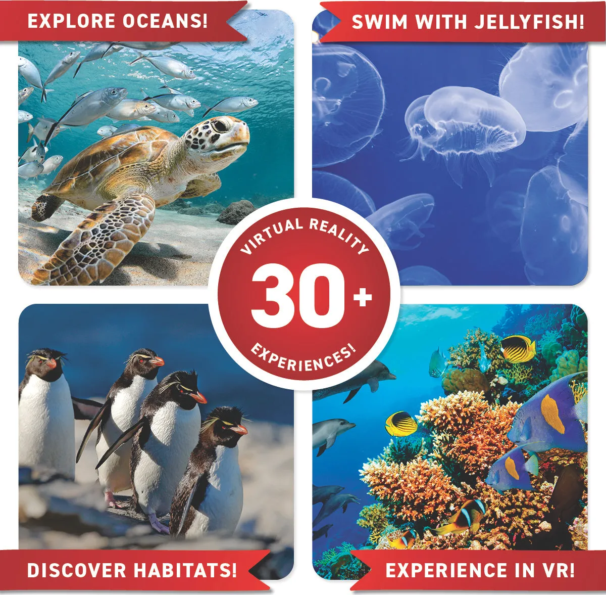 Virtual Reality Oceans Gift Set